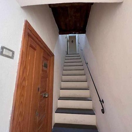 Suite Minerva 10 Steps From Piazza Civica Alghero Eksteriør billede